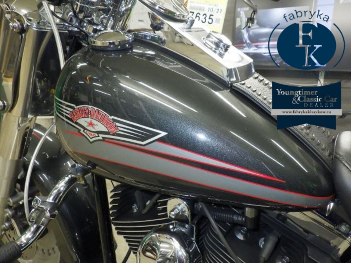 HARLEY-DAVIDSON FLSTF1580 2007 - zdjęcie 20