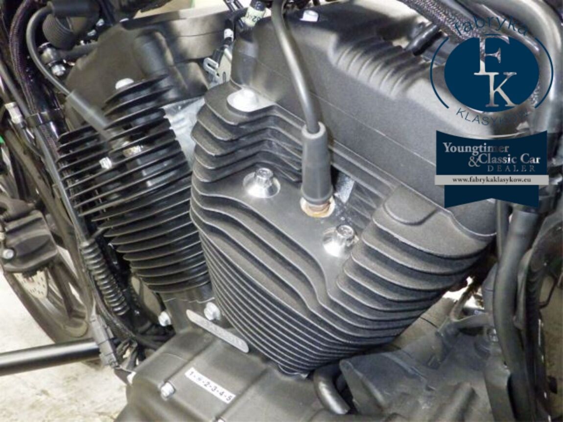 HARLEY-DAVIDSON XL1200NS 2018 - zdjęcie 10