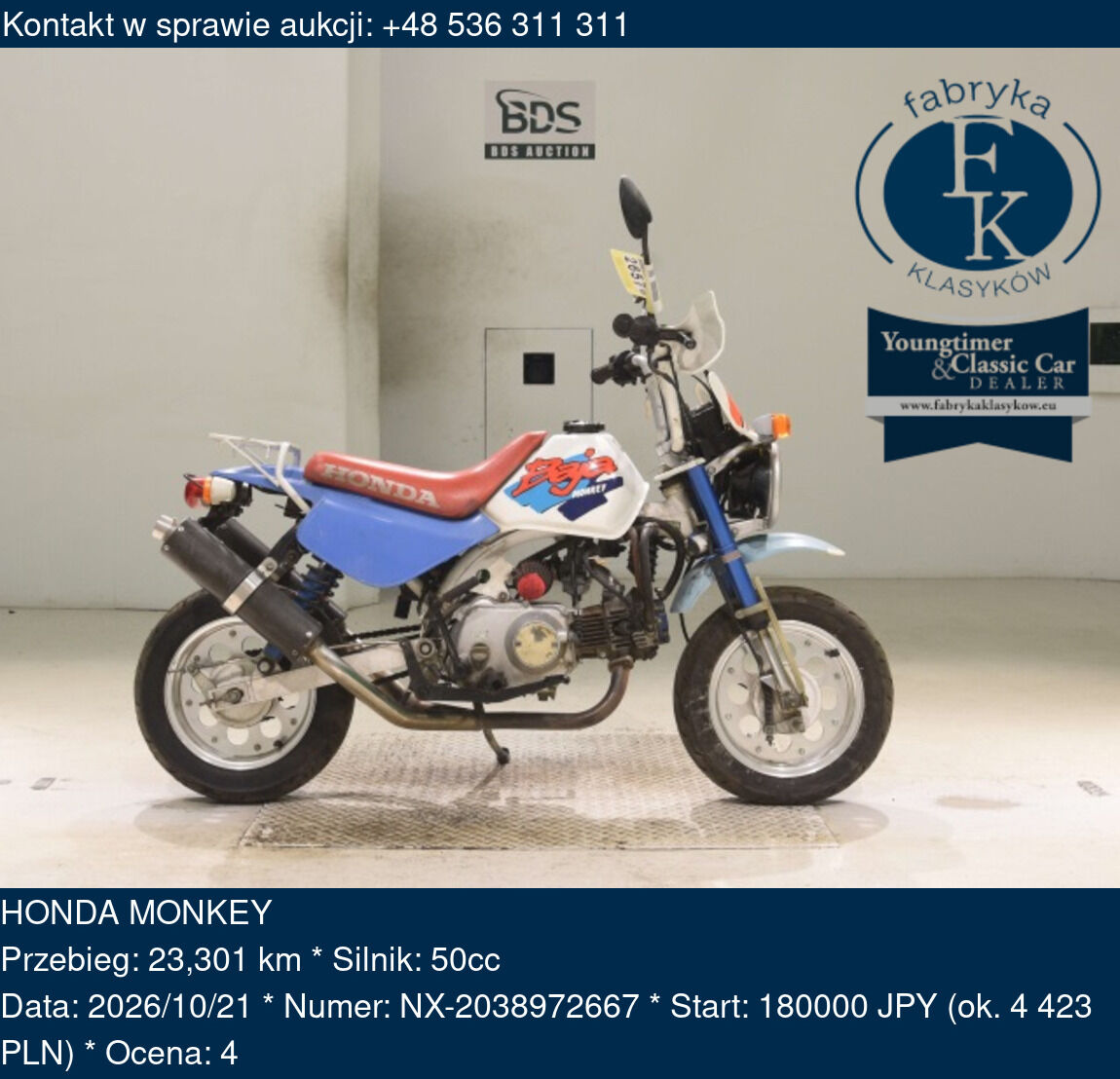 HONDA MONKEY  - zdjęcie 2