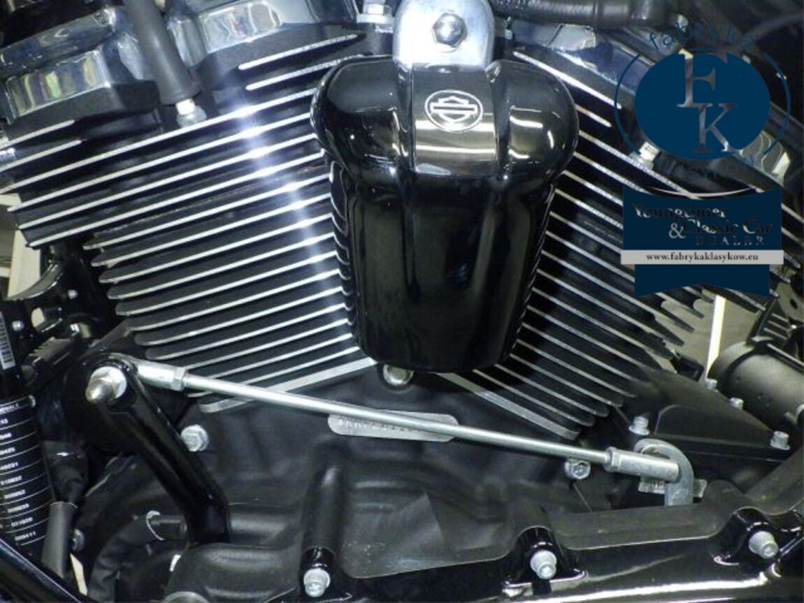 HARLEY-DAVIDSON FLHXS1870 2020 - zdjęcie 10