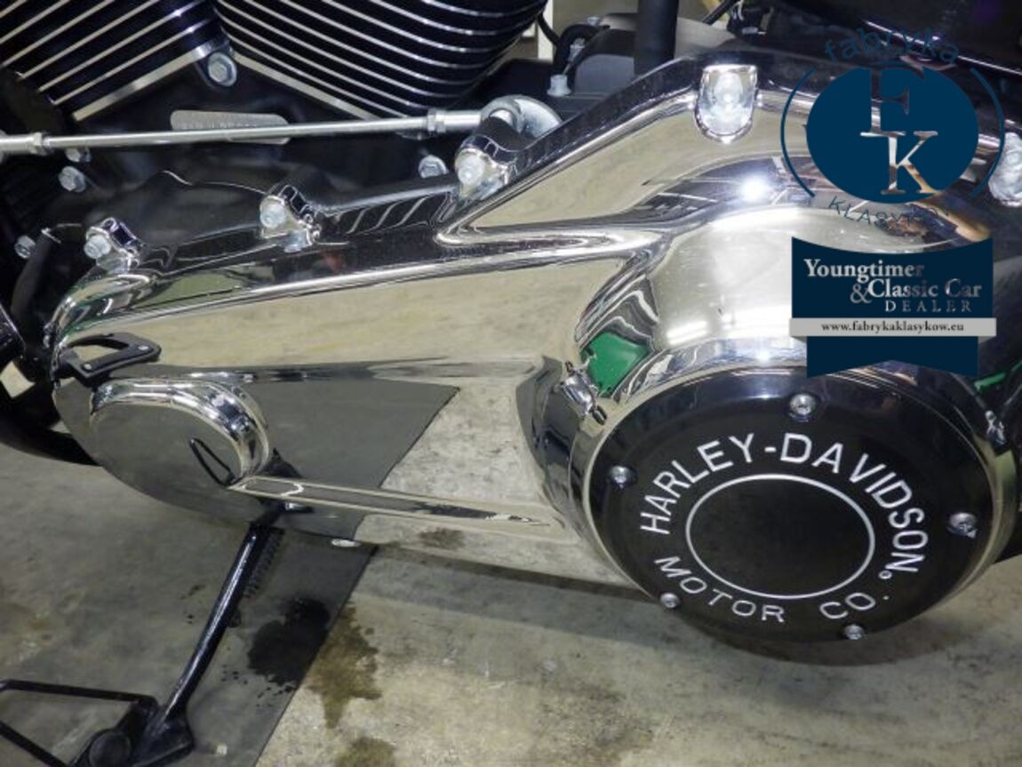 HARLEY-DAVIDSON FLSB1750 2020 - zdjęcie 11