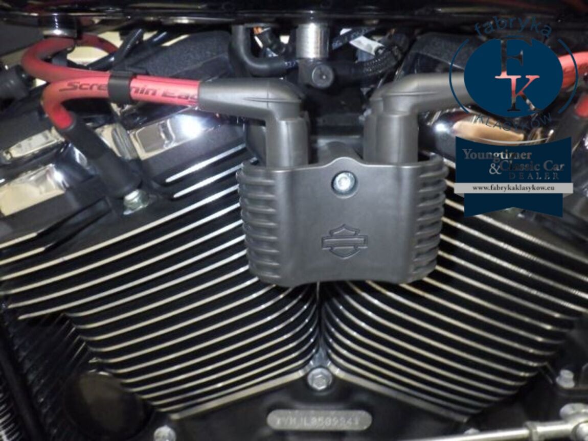 HARLEY-DAVIDSON FLSB1750 2020 - zdjęcie 12