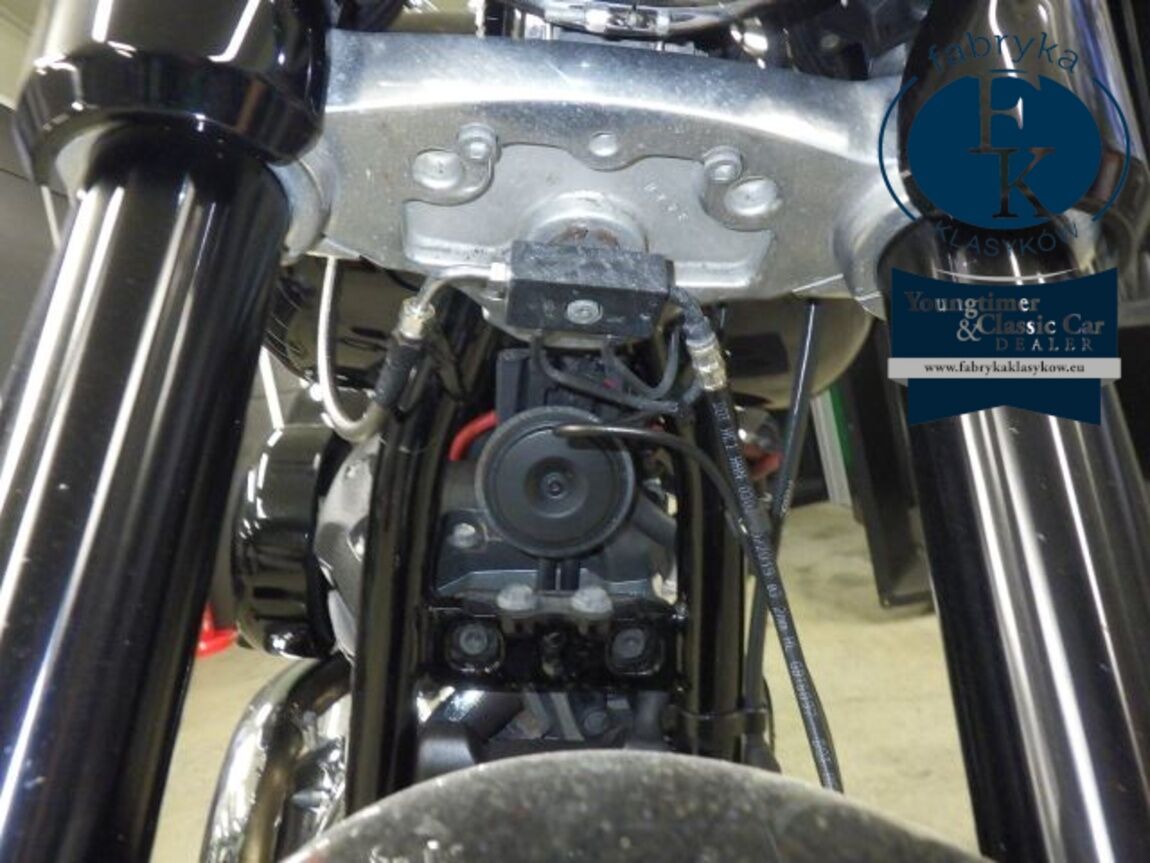 HARLEY-DAVIDSON FLSB1750 2020 - zdjęcie 23