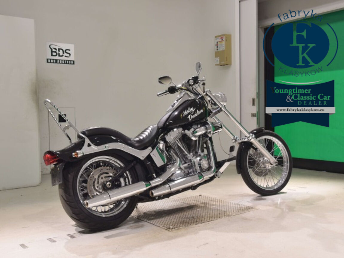 HARLEY-DAVIDSON FXST1580 2007 - zdjęcie 6