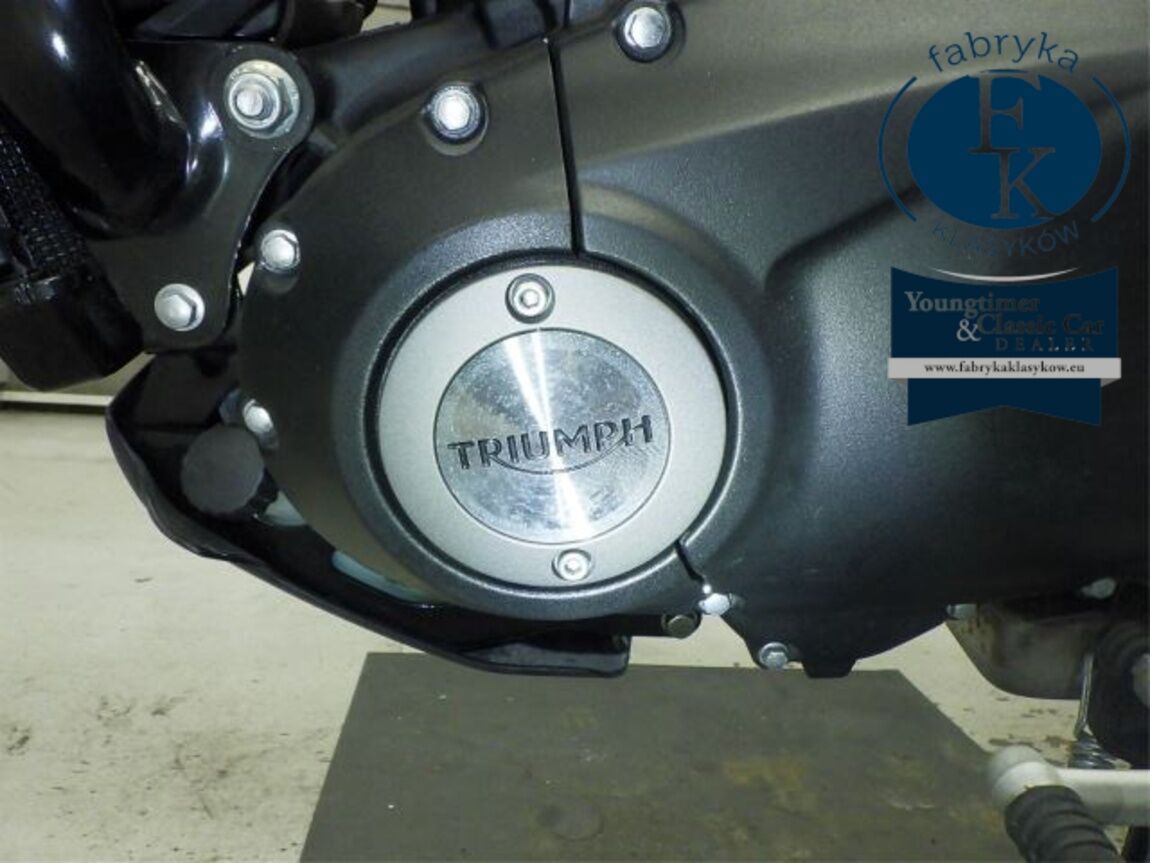 TRIUMPH SPEED 400 2024 - zdjęcie 13