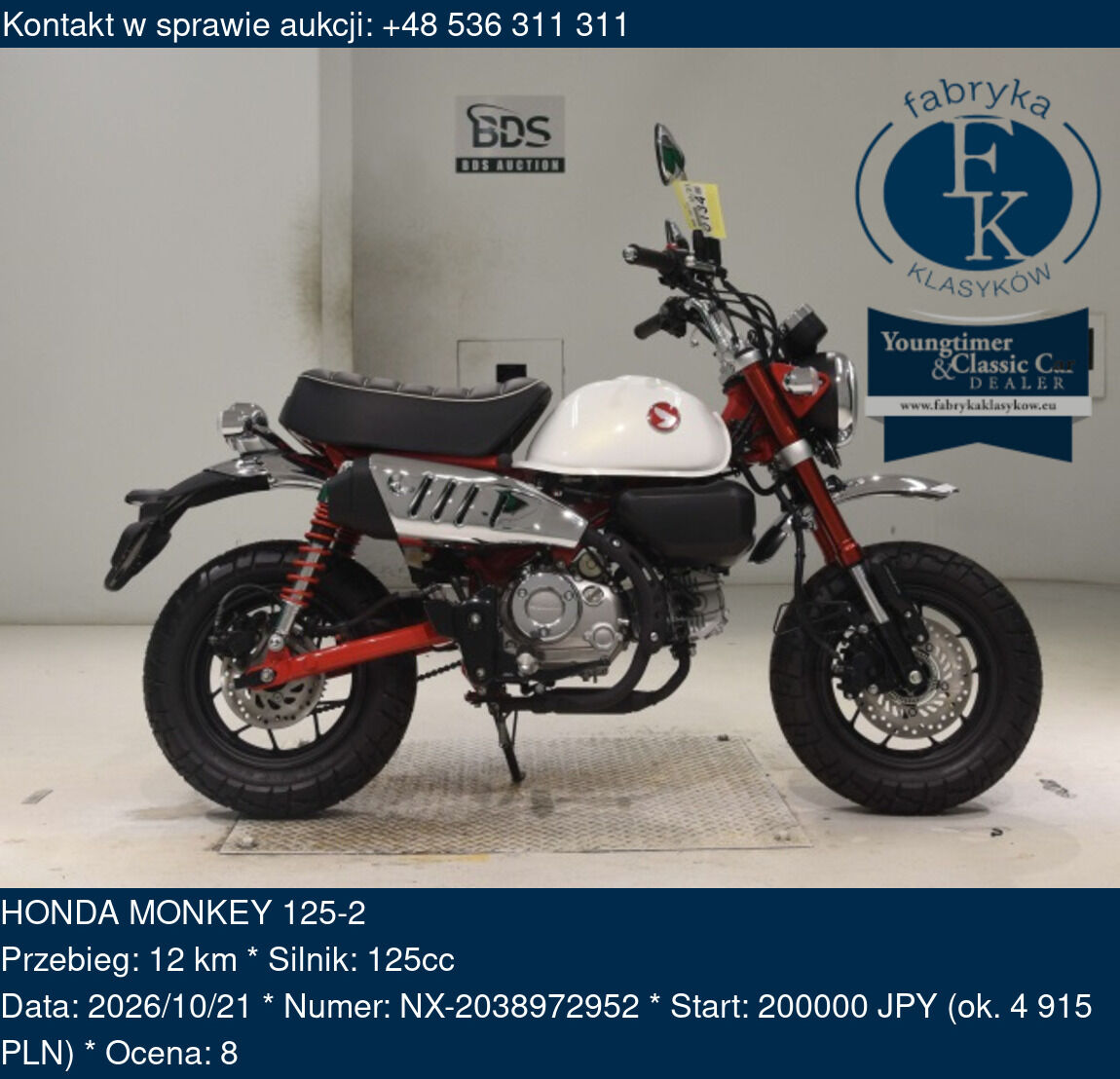 HONDA MONKEY 125-2  - zdjęcie 2