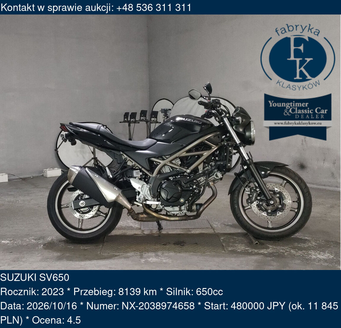 SUZUKI SV650 2023 - zdjęcie 2