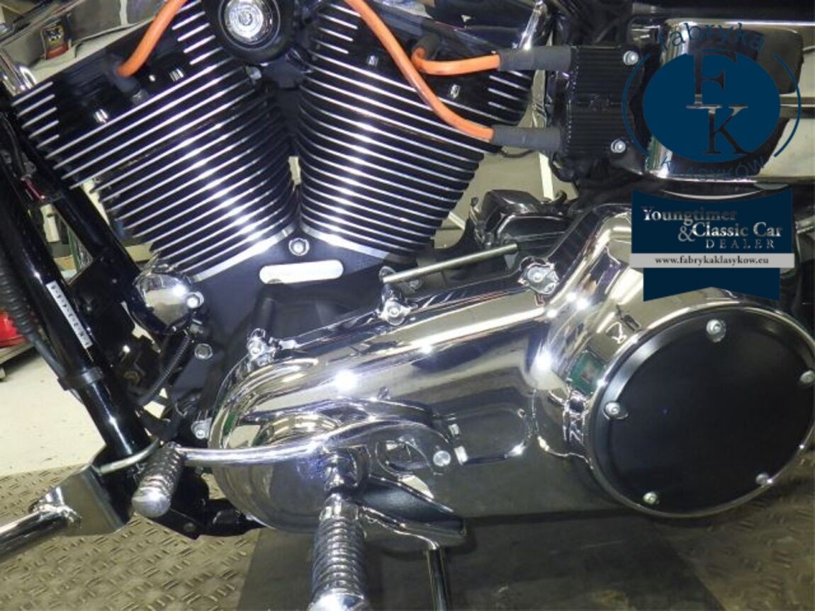 HARLEY-DAVIDSON FXDL1580 2014 - zdjęcie 12