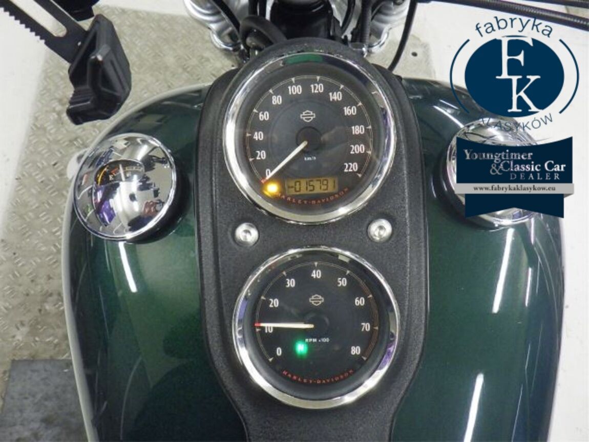 HARLEY-DAVIDSON FXDL1580 2014 - zdjęcie 15