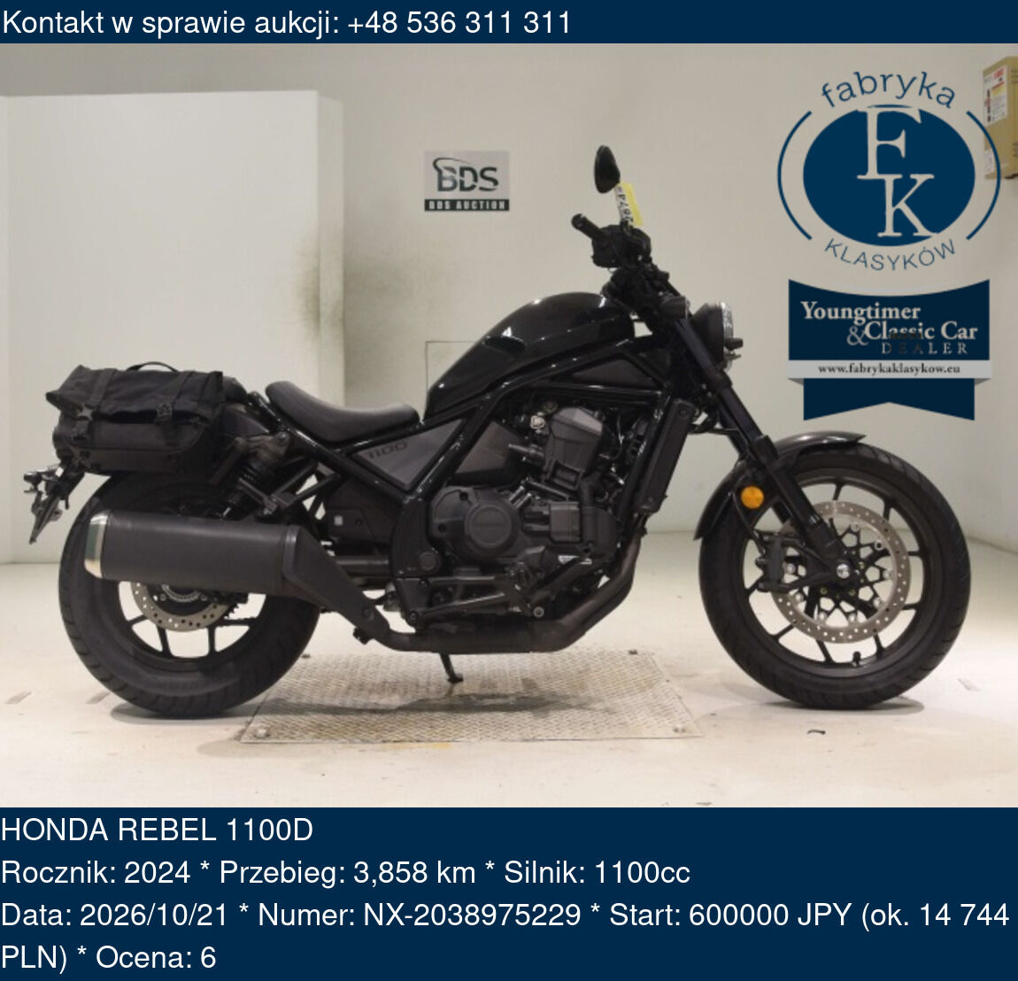 HONDA REBEL 1100D 2024 - zdjęcie 2
