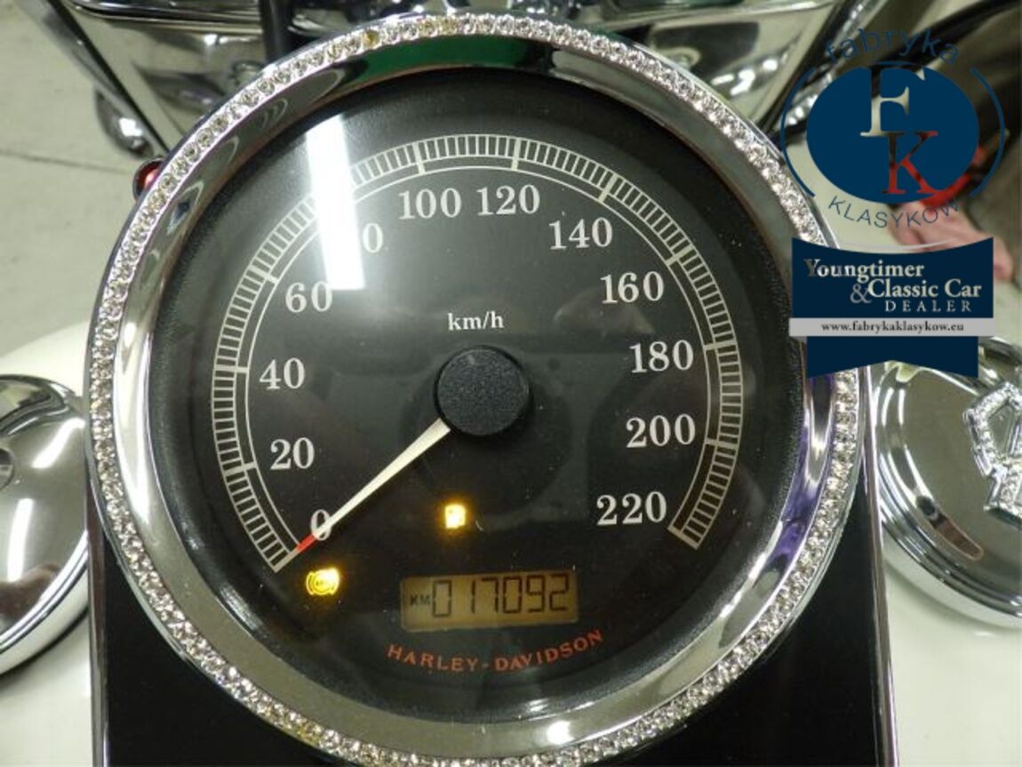 HARLEY-DAVIDSON FLSTN1580 2012 - zdjęcie 13