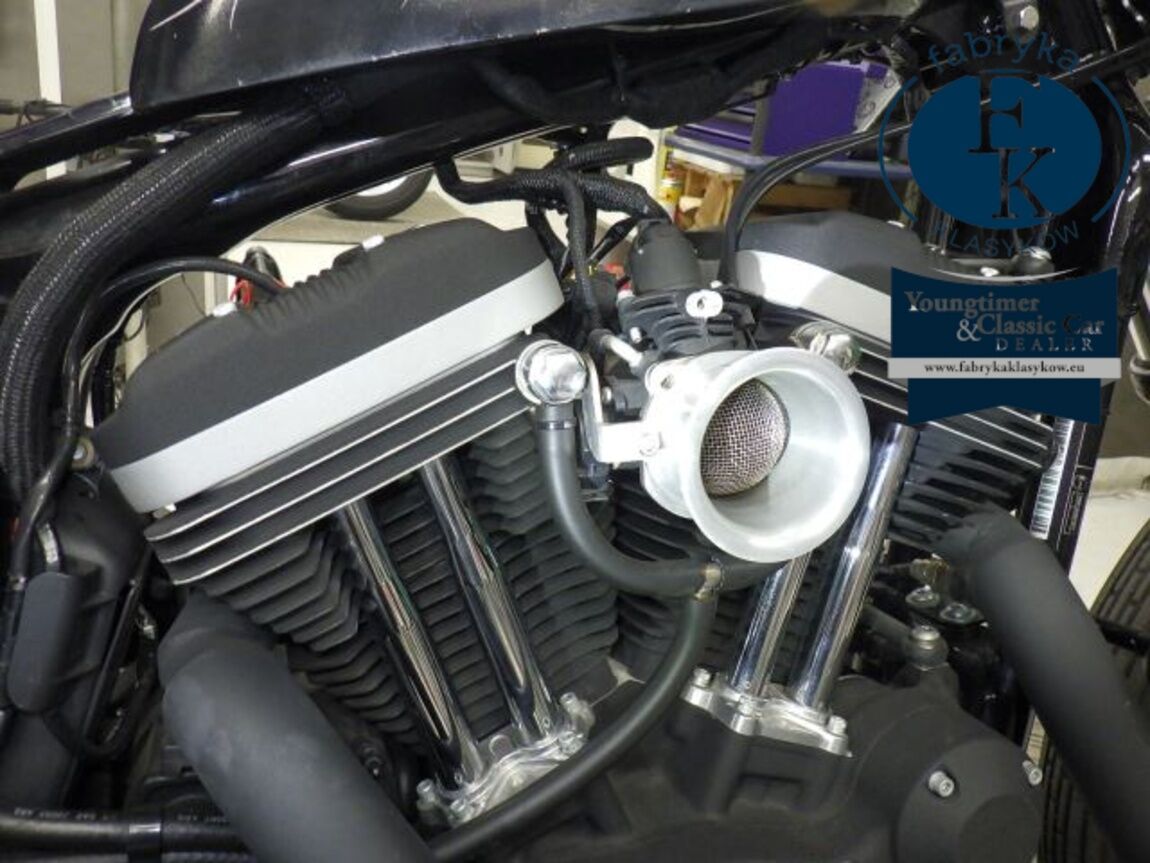 HARLEY-DAVIDSON XL883N 2013 - zdjęcie 9