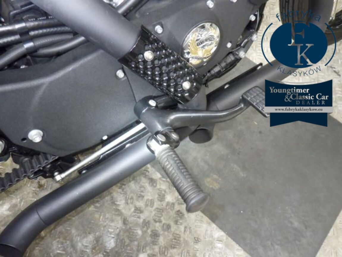 HARLEY-DAVIDSON XL883N 2013 - zdjęcie 30