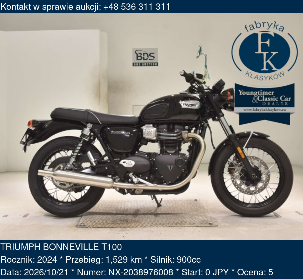 TRIUMPH BONNEVILLE T100 2024 - zdjęcie 2