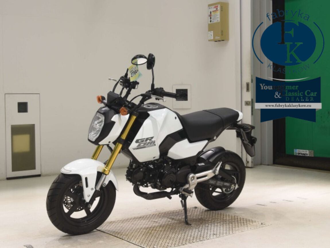HONDA GU ROM -2  - zdjęcie 5