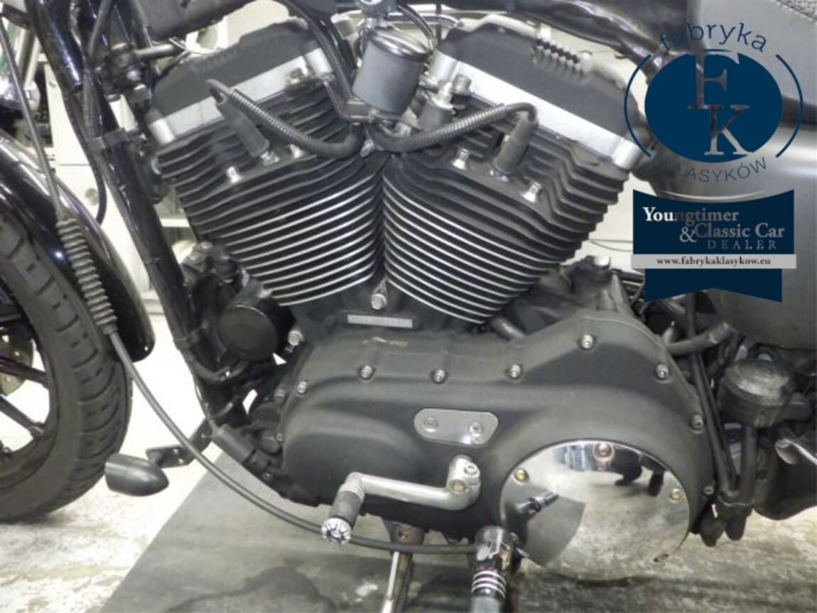 HARLEY-DAVIDSON XL883R 2005 - zdjęcie 11