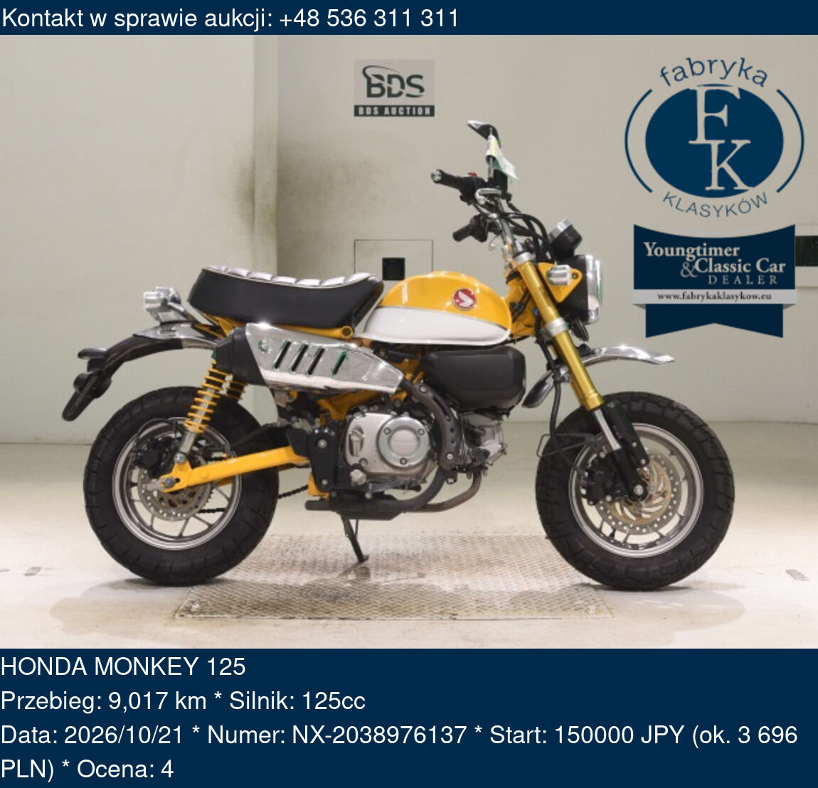 HONDA MONKEY 125  - zdjęcie 2