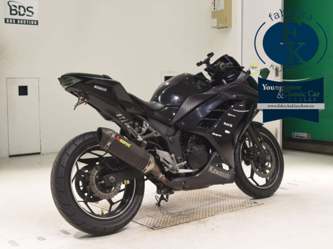 KAWASAKI NINJA250  - zdjęcie 6