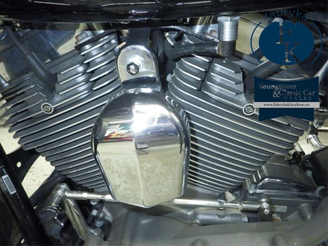 HARLEY-DAVIDSON FLTRUSE1800CVO 2010 - zdjęcie 12