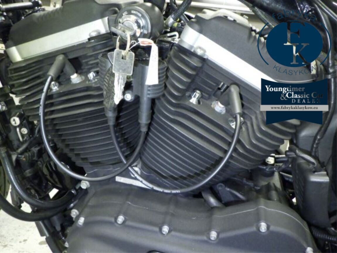 HARLEY-DAVIDSON XL883N 2010 - zdjęcie 11