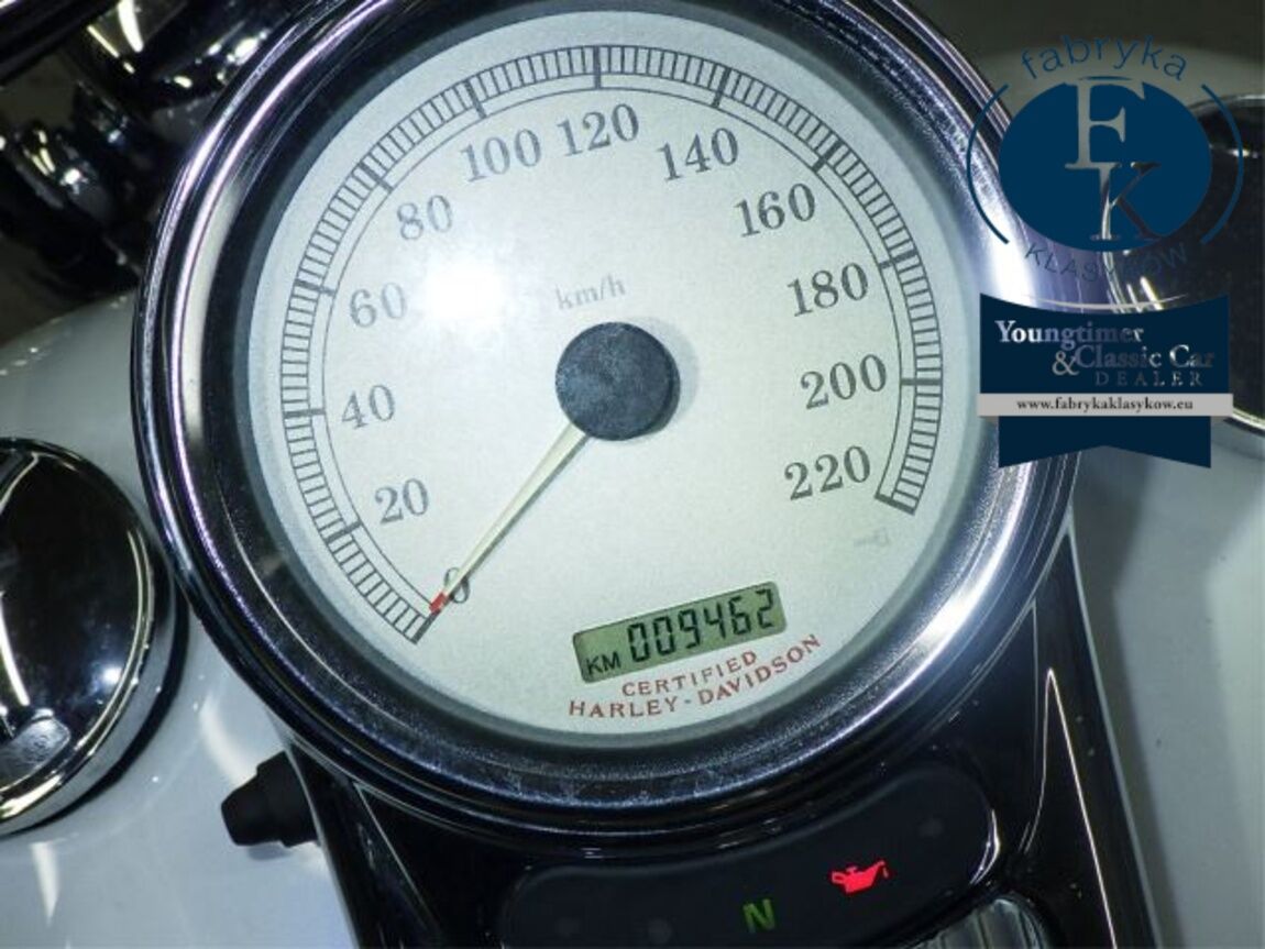 HARLEY-DAVIDSON FLHRS1450 2005 - zdjęcie 14