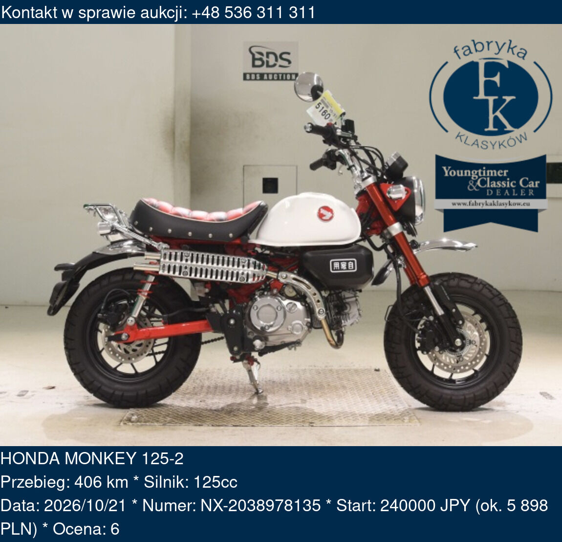HONDA MONKEY 125-2  - zdjęcie 2