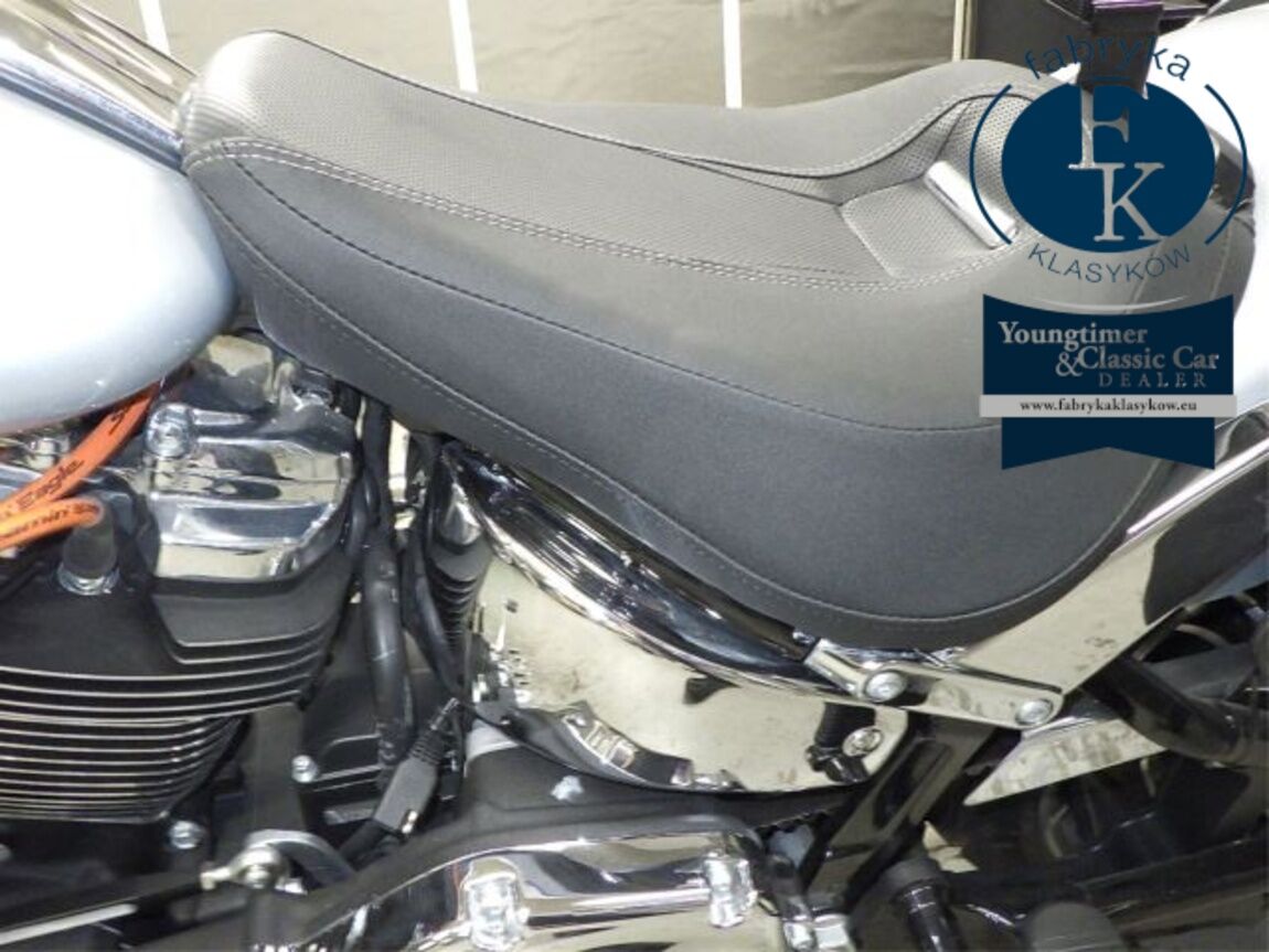 HARLEY-DAVIDSON FXBR1920 2023 - zdjęcie 19