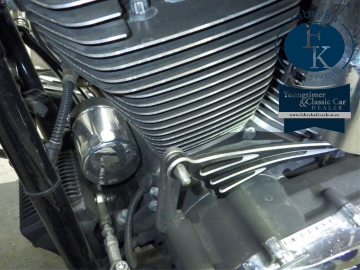 HARLEY-DAVIDSON FLHR1580 2008 - zdjęcie 13