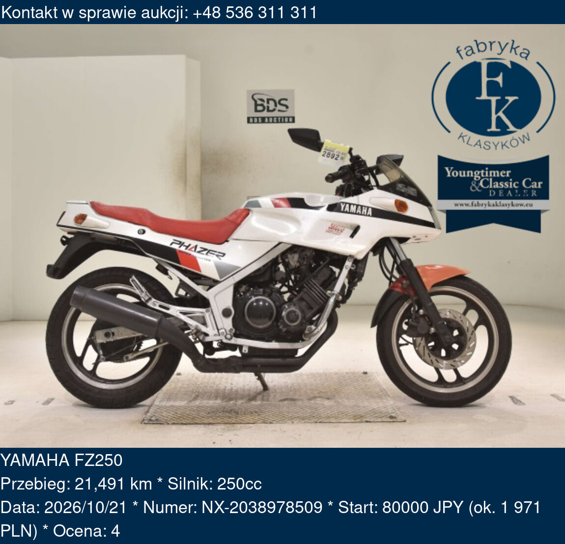YAMAHA FZ250  - zdjęcie 2