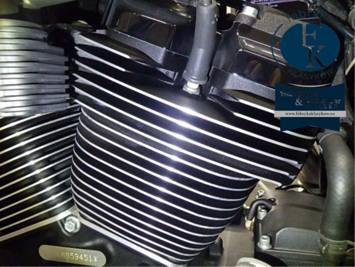 HARLEY-DAVIDSON FXBBS1870 2021 - zdjęcie 10