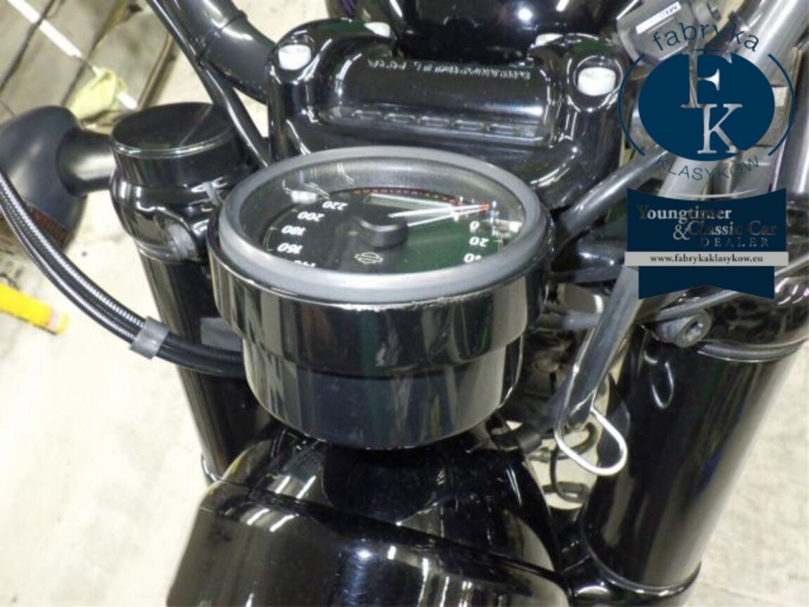 HARLEY-DAVIDSON XL1200X 2020 - zdjęcie 14