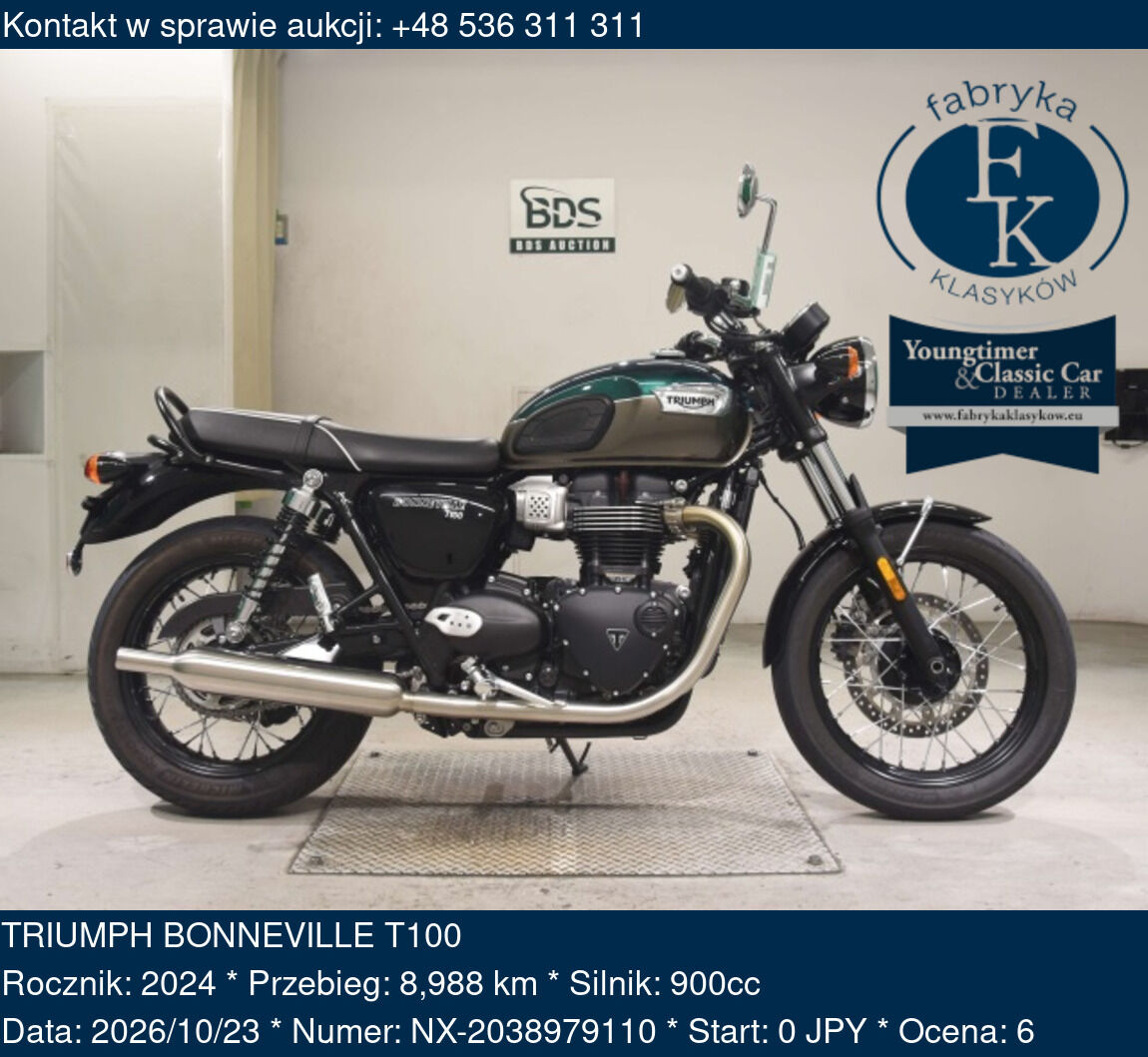 TRIUMPH BONNEVILLE T100 2024 - zdjęcie 2