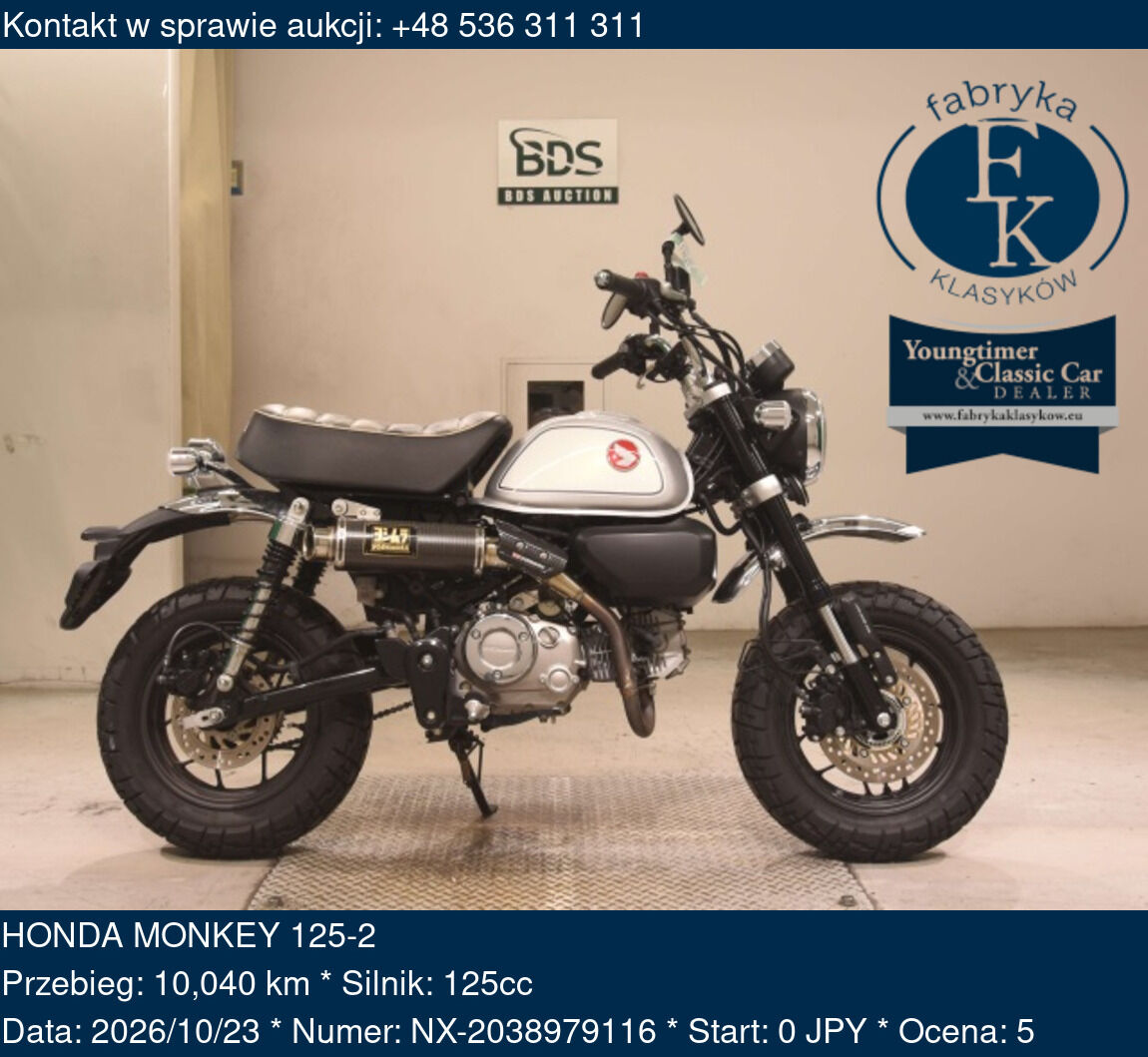 HONDA MONKEY 125-2  - zdjęcie 2