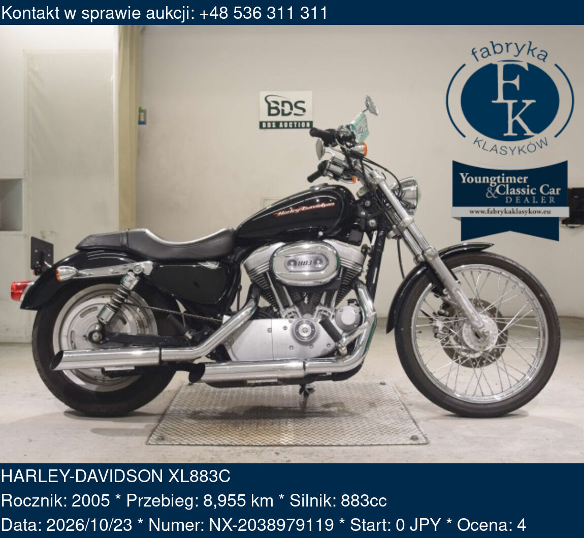 HARLEY-DAVIDSON XL883C 2005 - zdjęcie 2
