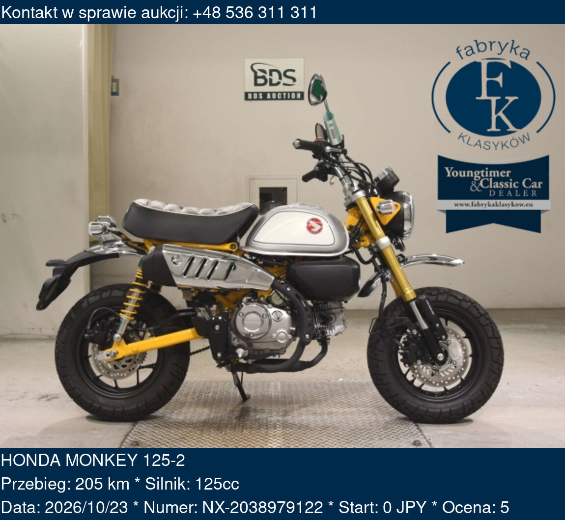 HONDA MONKEY 125-2  - zdjęcie 2