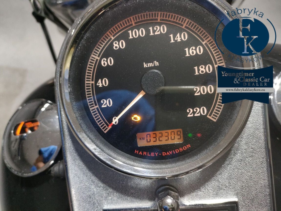 HARLEY-DAVIDSON FLHR1580 2007 - zdjęcie 6