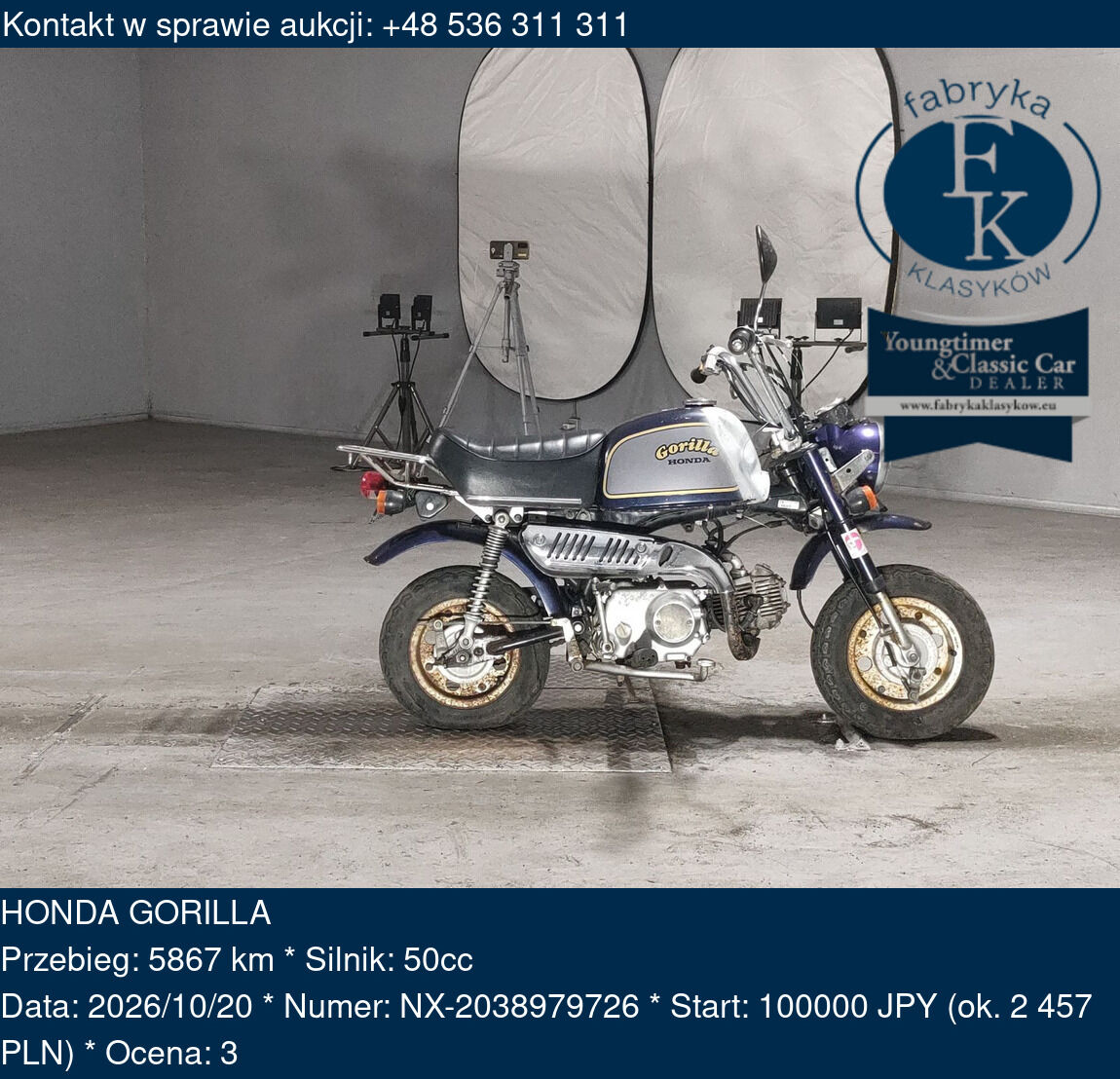 HONDA GORILLA  - zdjęcie 2
