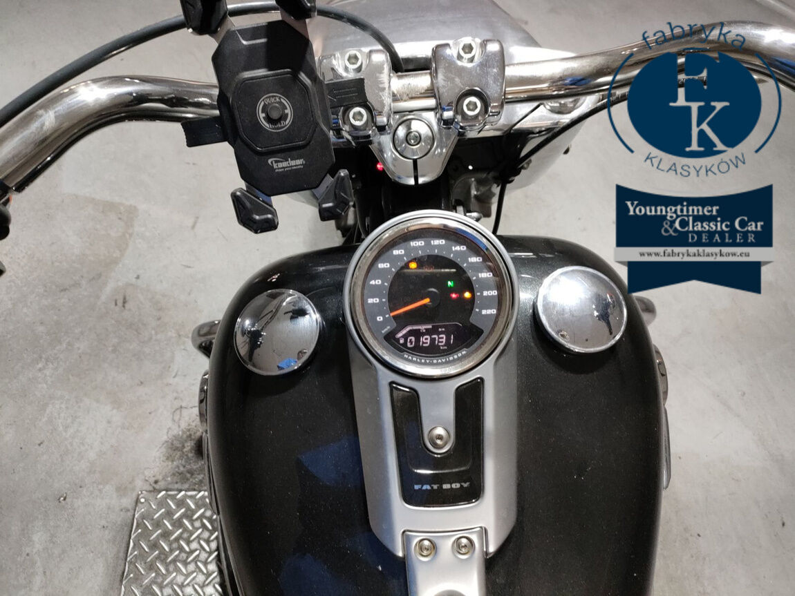 HARLEY-DAVIDSON FLFB1750 2018 - zdjęcie 6