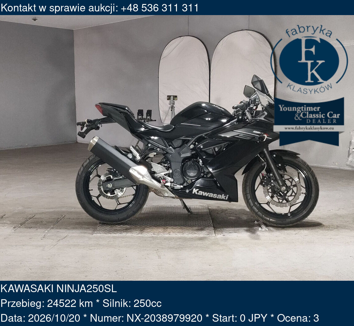 KAWASAKI NINJA250SL  - zdjęcie 2