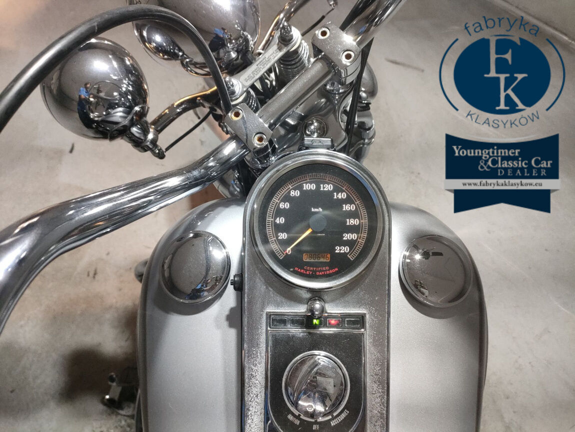 HARLEY-DAVIDSON FLSTS1340 1999 - zdjęcie 6