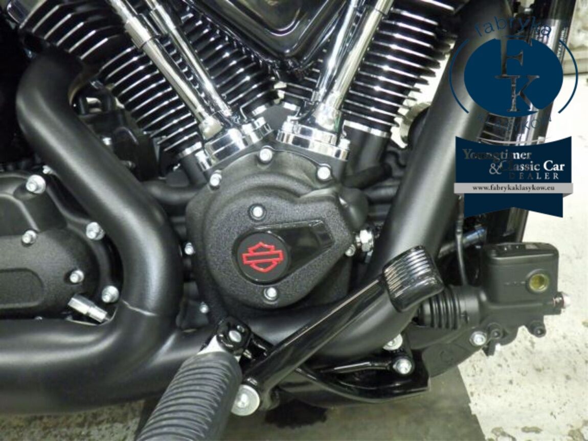 HARLEY-DAVIDSON FXLRST1920 2026 - zdjęcie 10