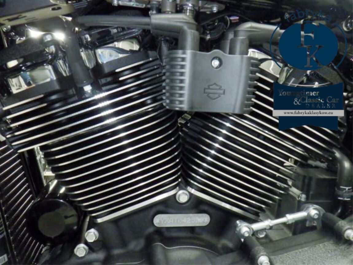 HARLEY-DAVIDSON FXLRST1920 2026 - zdjęcie 11