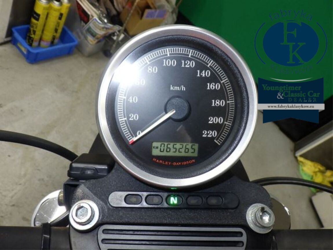 HARLEY-DAVIDSON XL883R 2009 - zdjęcie 15