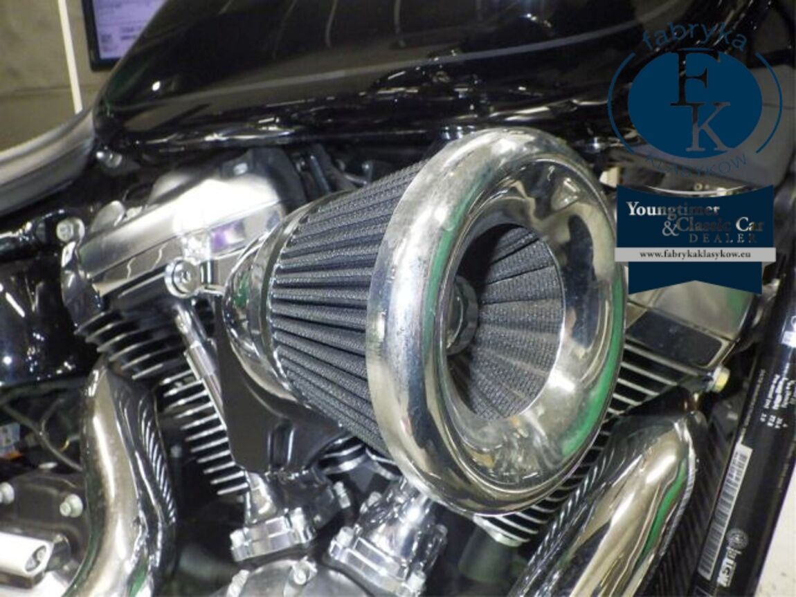 HARLEY-DAVIDSON FLFBS1870 2019 - zdjęcie 9