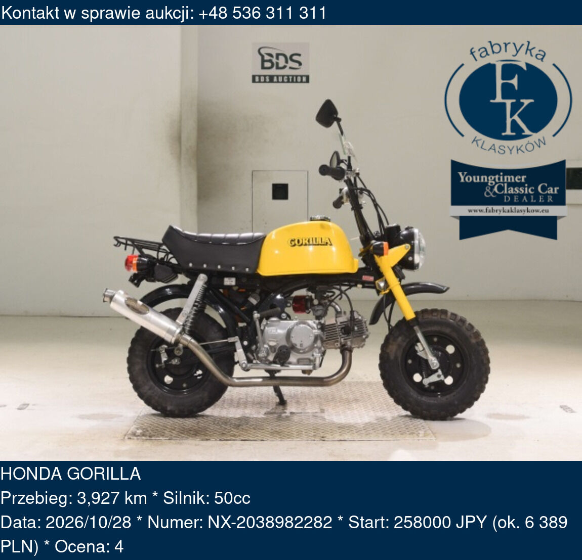 HONDA GORILLA  - zdjęcie 2