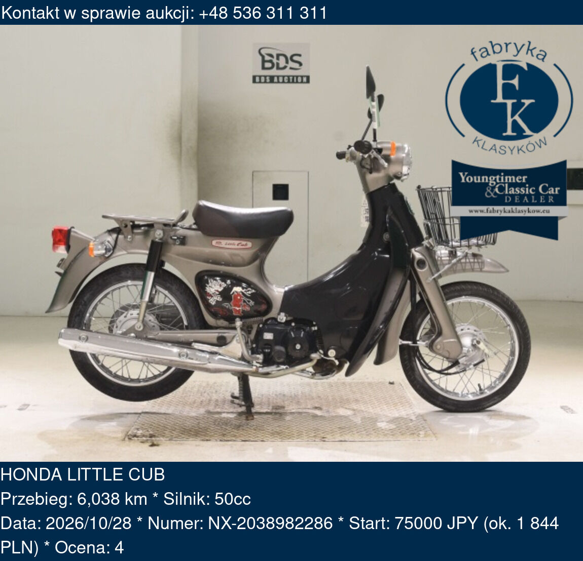 HONDA LITTLE CUB  - zdjęcie 2