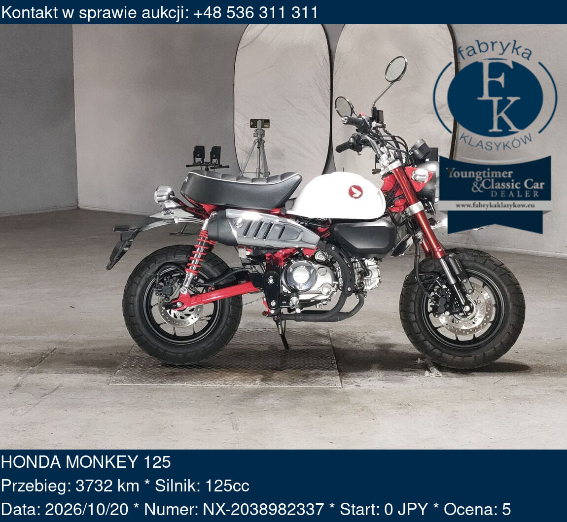 HONDA MONKEY 125  - zdjęcie 2