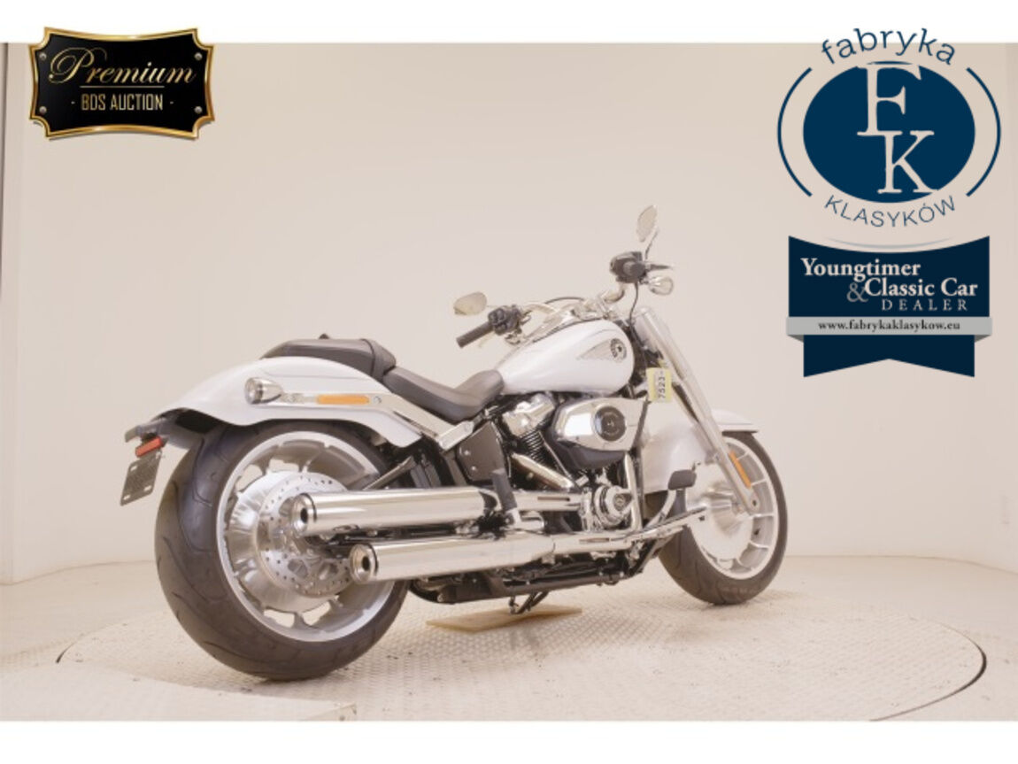 HARLEY-DAVIDSON FLFB1920 2026 - zdjęcie 6