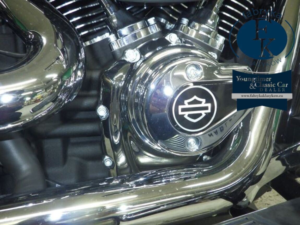 HARLEY-DAVIDSON FLFB1920 2026 - zdjęcie 12