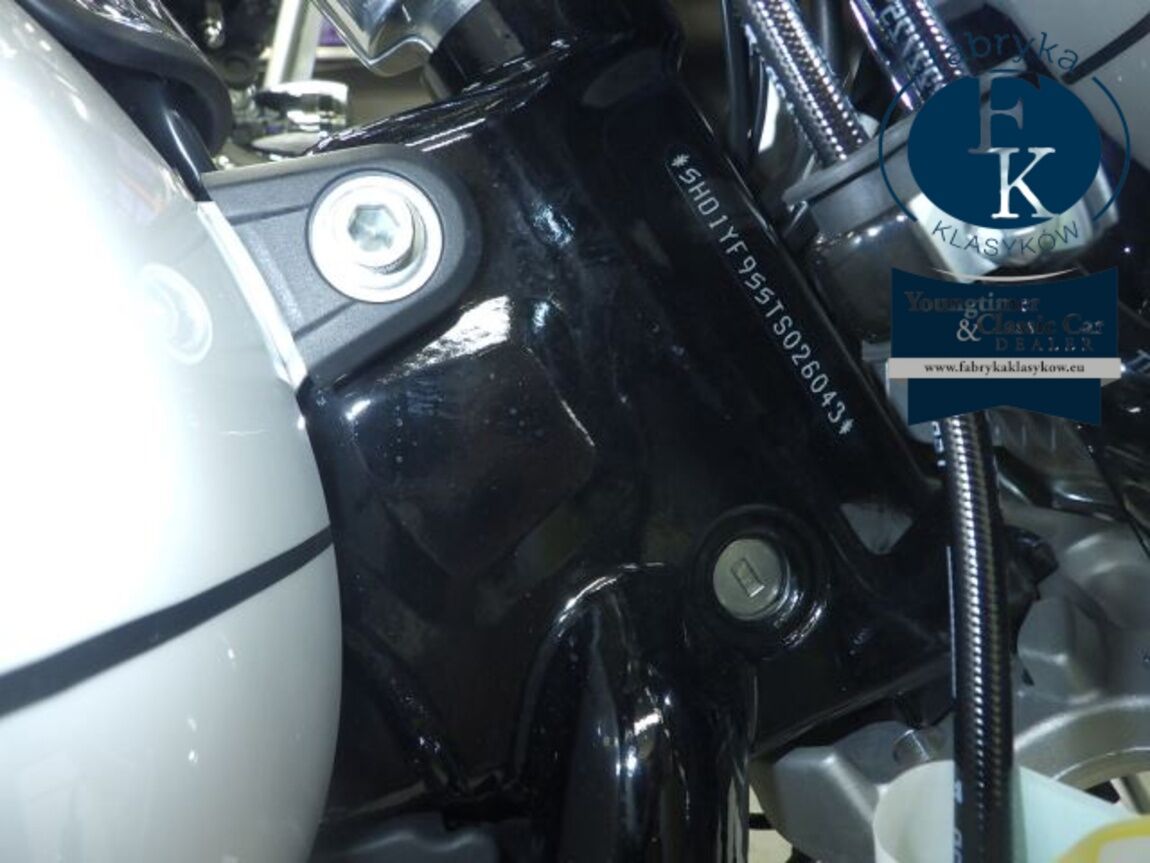 HARLEY-DAVIDSON FLFB1920 2026 - zdjęcie 31